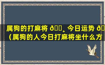 属狗的打麻将 🌸 今日运势 🌸 （属狗的人今日打麻将坐什么方位有财运）